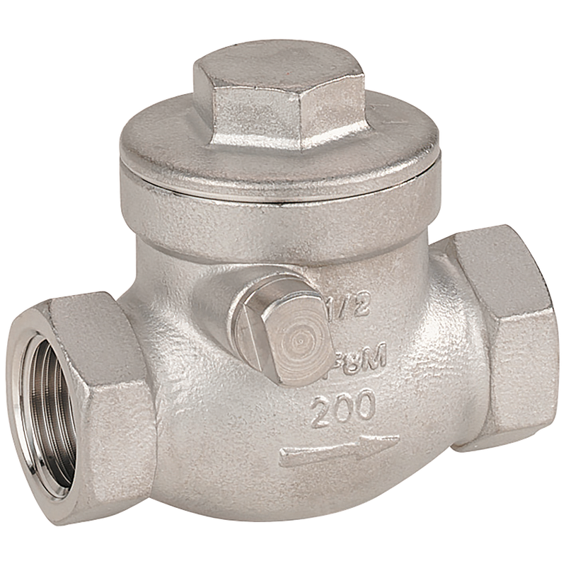 BSP 316 ST/ST SWING CHECK VALVE