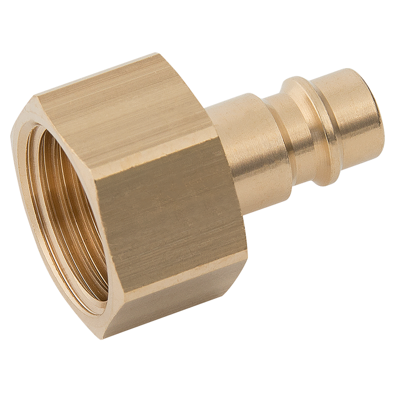 BSPP FEM  PLUG  BRASS UNPLATED