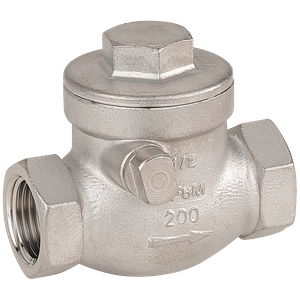 BSP 316 ST/ST SWING CHECK VALVE