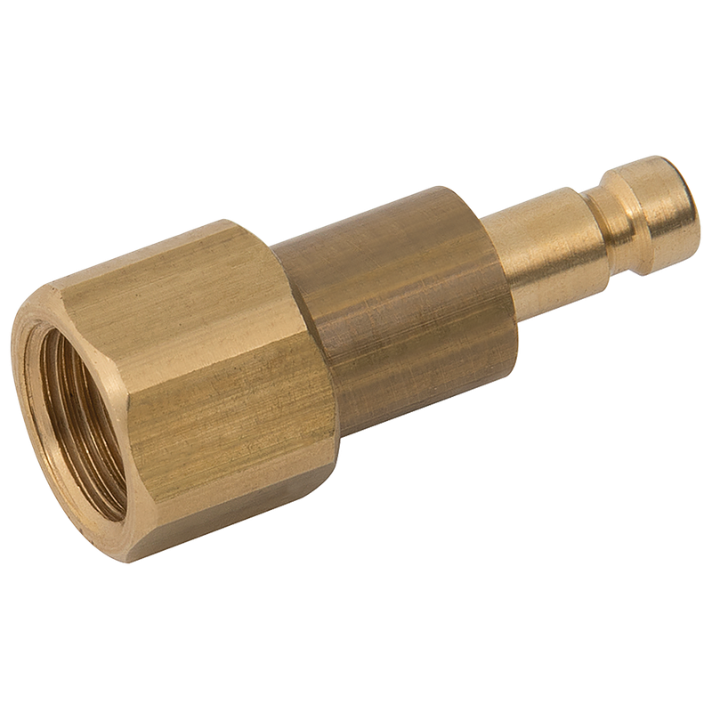 1/8 BSPP FEM  PLUG DS BRASS