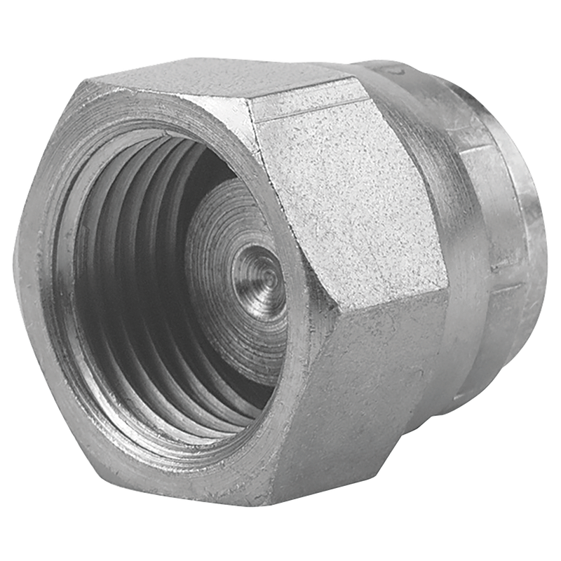 2 BSPP SWIVEL 60  CONED BLANKING CAP