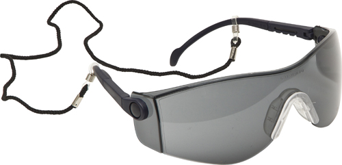 Wraparound Safety Glasses c/w Cord Clear