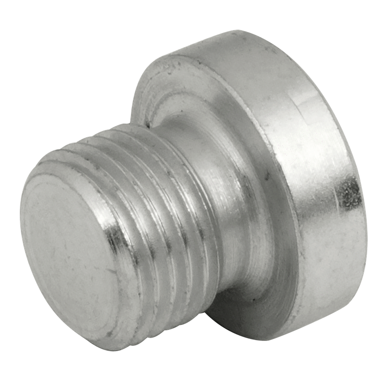 BSP SOCKET HEAD PLUG WITHOUT SEAL