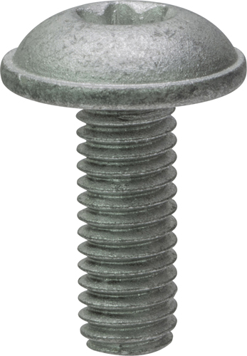 Torx Screws