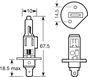 RING 'Xenon150' Bulbs H11 12V 55W PGJ19-2