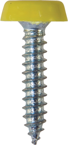 Number Plate Screws No.10 x 24mm Yellow