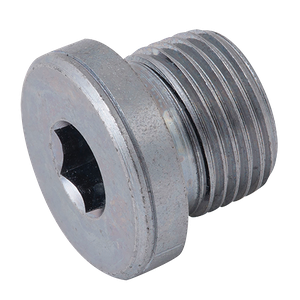 BSPP MALE BLANKING PLUG & SEAL