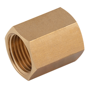 BSPP FXF BSPP BRASS SOCKET EQUAL