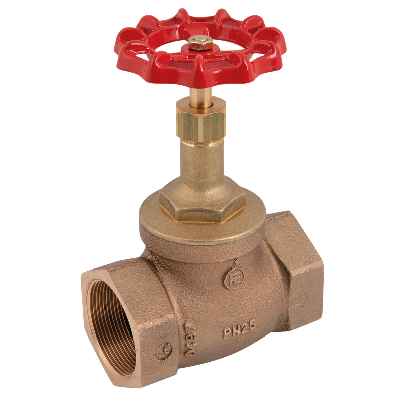 BSP BZE GLOBE VALVE PN25 (10B STE