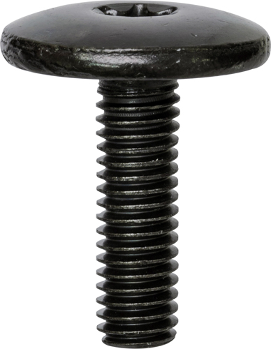 Torx Large Head Bumper Bolts