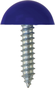 Number Plate Screws W/Domes+Cups Blue