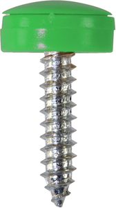 Security Number Plate Screws Green