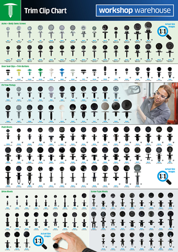 A1 Trim Clip Wall Chart (Double Sided )