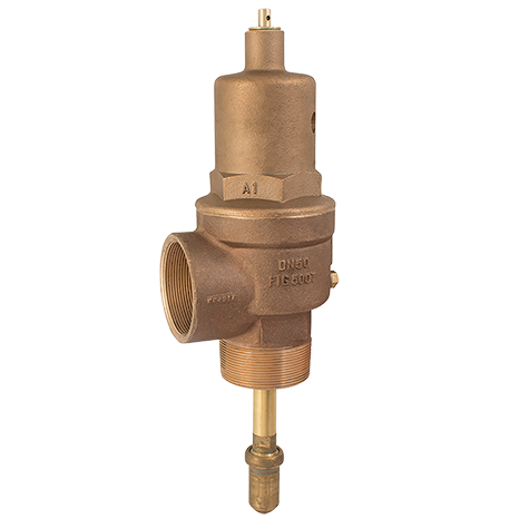 BSPT TEMP/PRES SAFETY VALVE