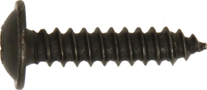 Screws Flgd Torx Blk 8 x 1" (4.2 x 25mm)