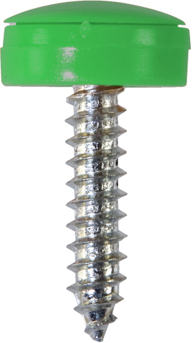 Security Number Plate Screws Green