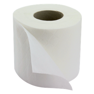 48  2 PLY WHITE TOILET ROLLS X 210 SHEET