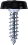 Number Plate Screws No.10 x 18mm Black