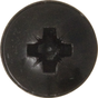 Screws Flgd Pozi Blk 6 x 3/4" (3.5 x 19mm)