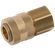 1/4 BSPP FEM   COUPLING BRASS UNPLATED