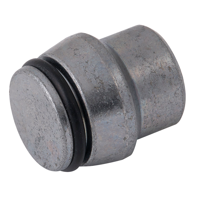 14MM OD BLANKING PLUG (S)