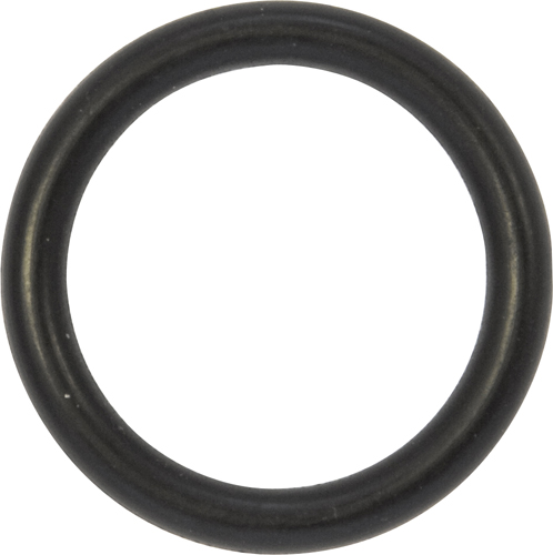 O-Rings Metric 19 x 2.5