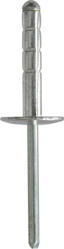 Multigrip Rivet 4.8 x 25mm Large Flange