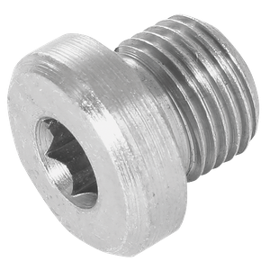 BSP SOCKET HEAD PLUG WITHOUT SEAL