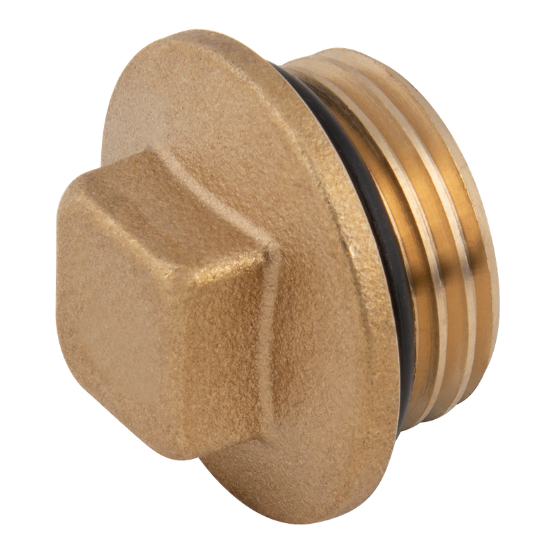 SQUARE HEAD BRASS PLUG