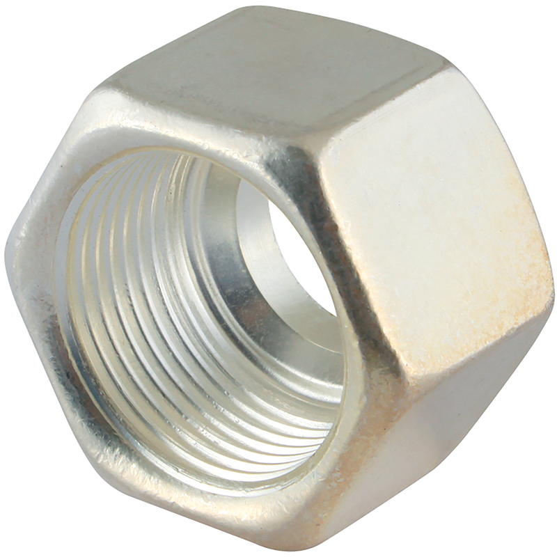 SILVER COATED NUT