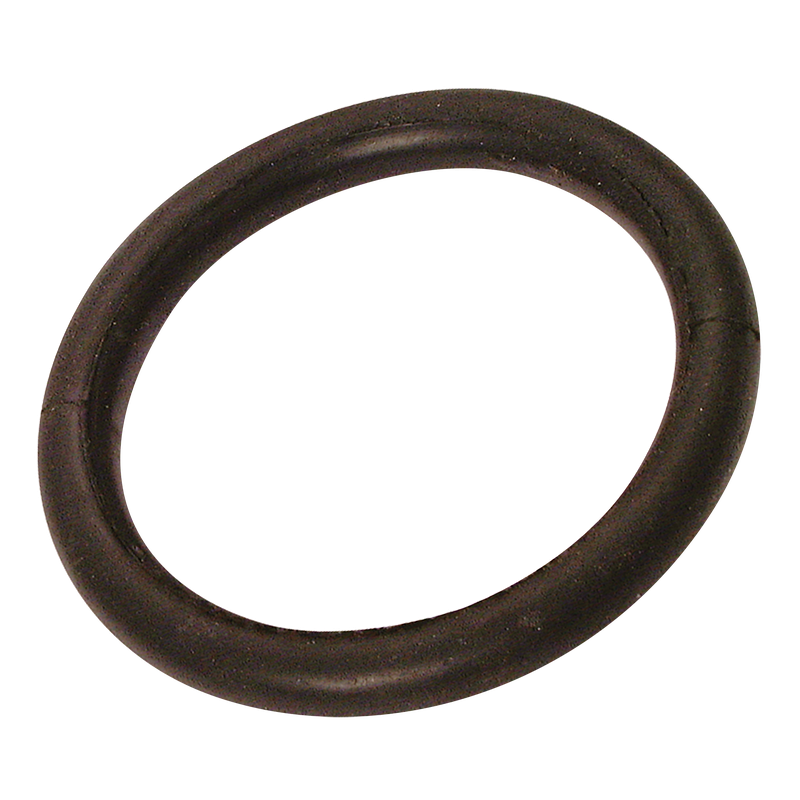 OIL RESISTANT O RING