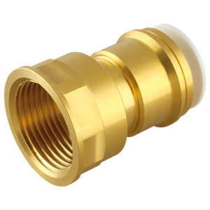 22MM X 1 BRASS FEMALE CYLINDER ADAPTOR