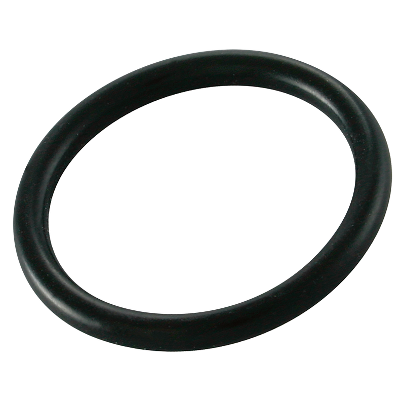 SER O-RING FOR FLANGE COUP