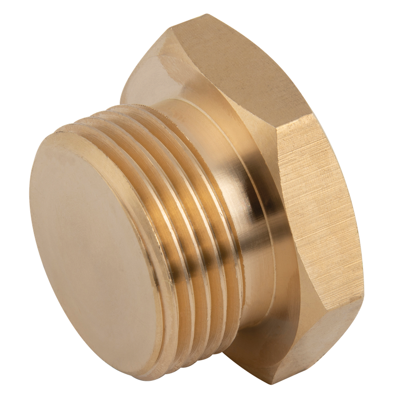 SOLID BRASS MALE PLUG