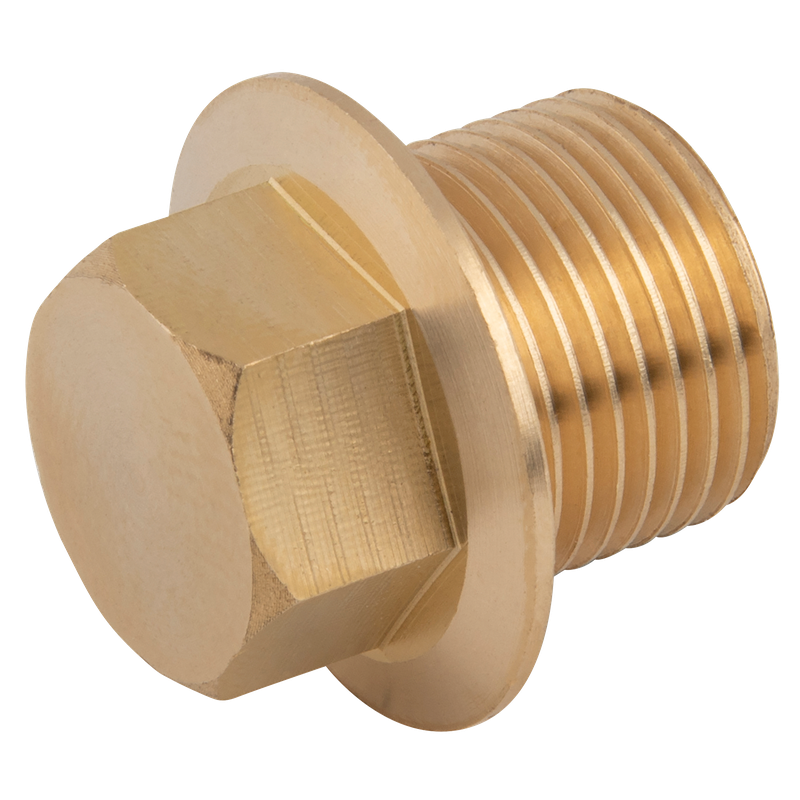 BSPP FLANGED BRASS MALE PLUG