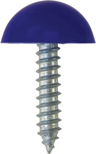 Number Plate Screws W/Domes+Cups Blue