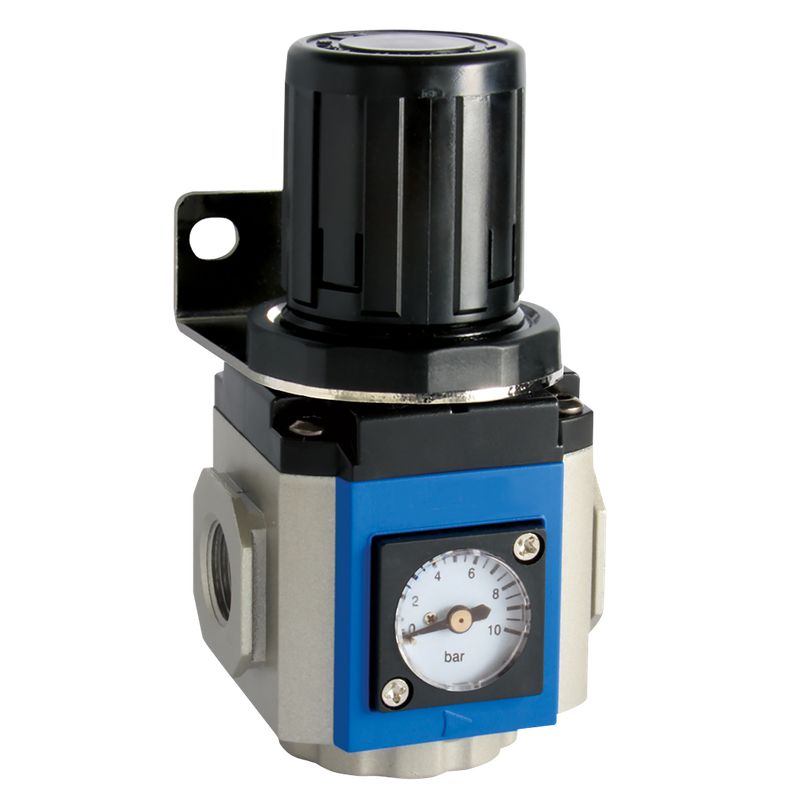 REGULATOR 300 SERIES GAUGE & BRKT