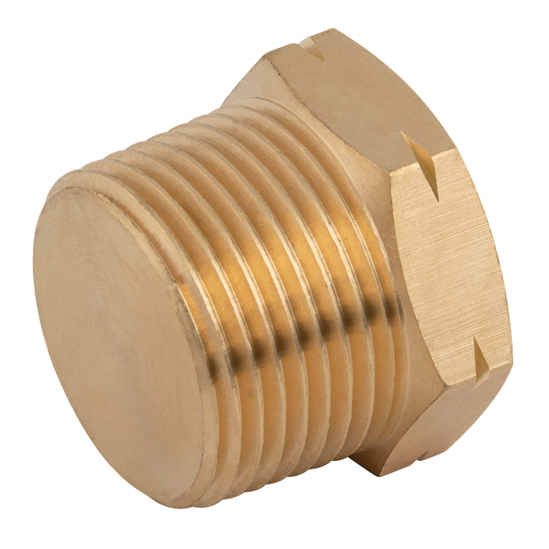 SOLD BRASS MALE PLUG