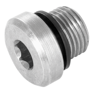 BSP SOCKET HEAD PLUG 3869 SEAL