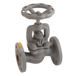 1 PN16 FLANGED CI GLOBE VALVE