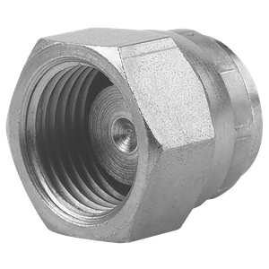 2 BSPP SWIVEL 60  CONED BLANKING CAP