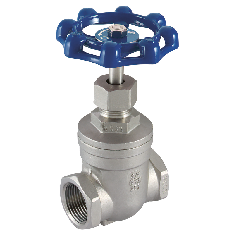 BSP 316 ST/STEEL GATE VALVE