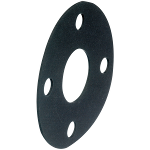 EPDM FULL FACE GASKET  NP16