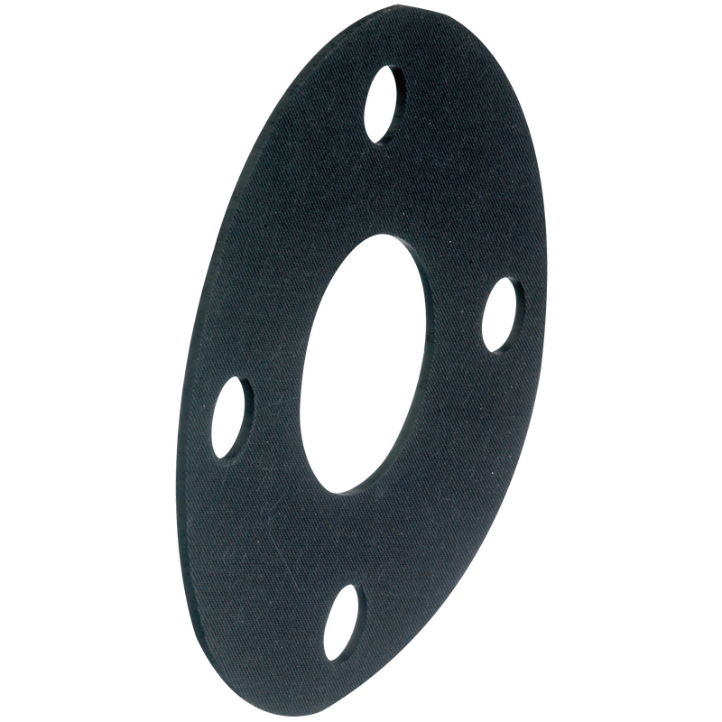 EPDM FULL FACE GASKET  NP16