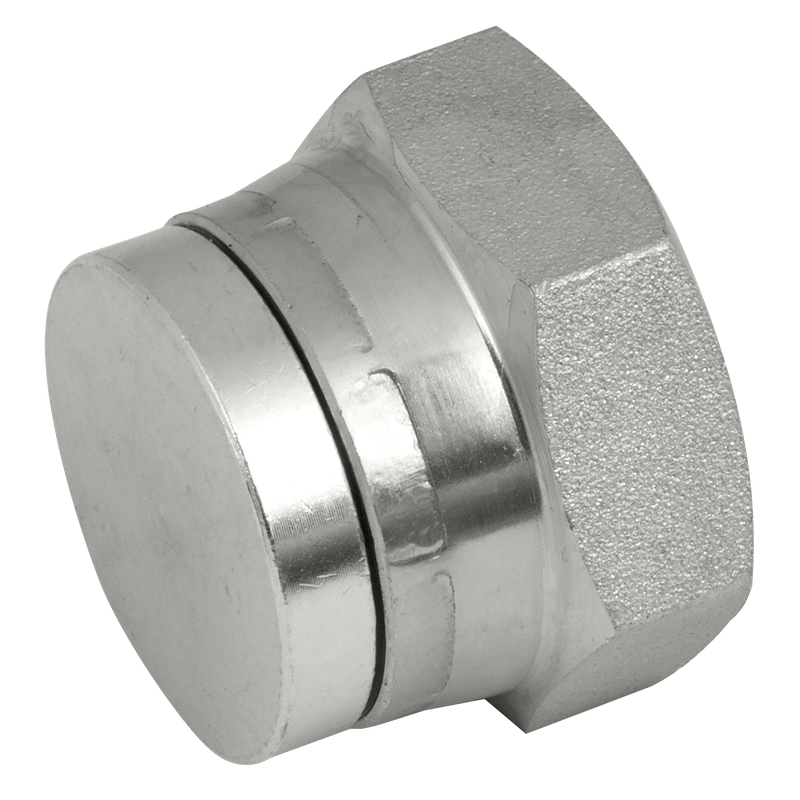 BSP SWIVEL STEEL BLANKING CAP