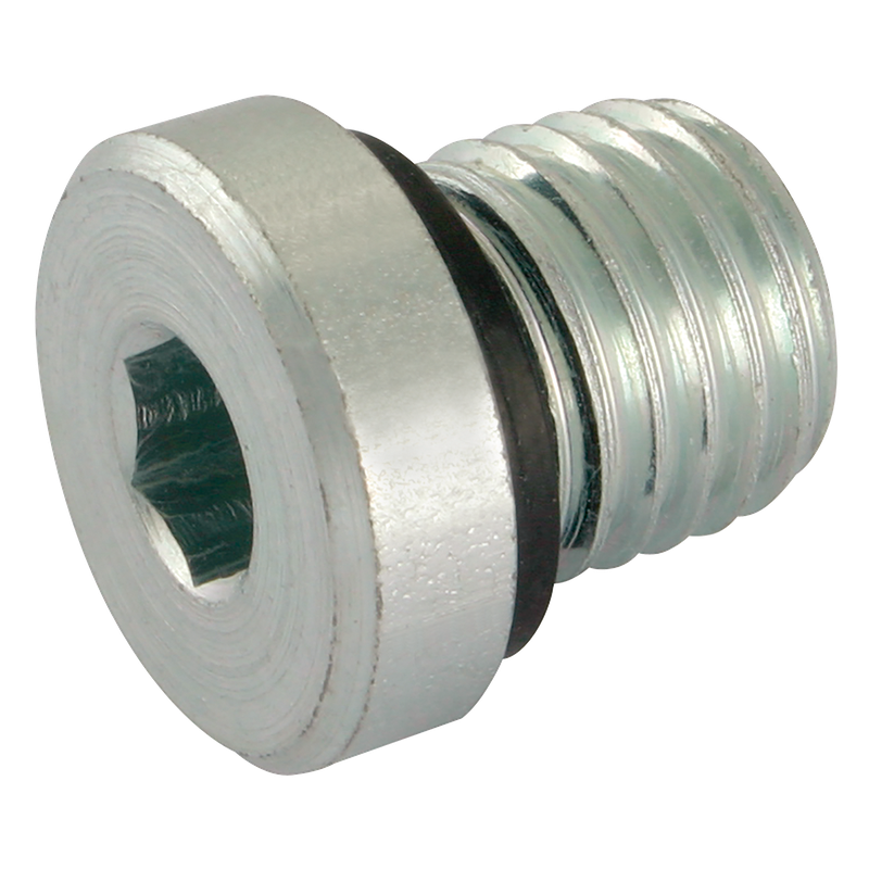 MALE METRIC BLANKING PLUG&SEAL