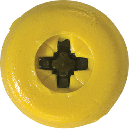 Number Plate Screws No.10 x 18mm Yellow