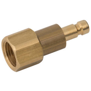 1/8 BSPP FEM  PLUG DS BRASS