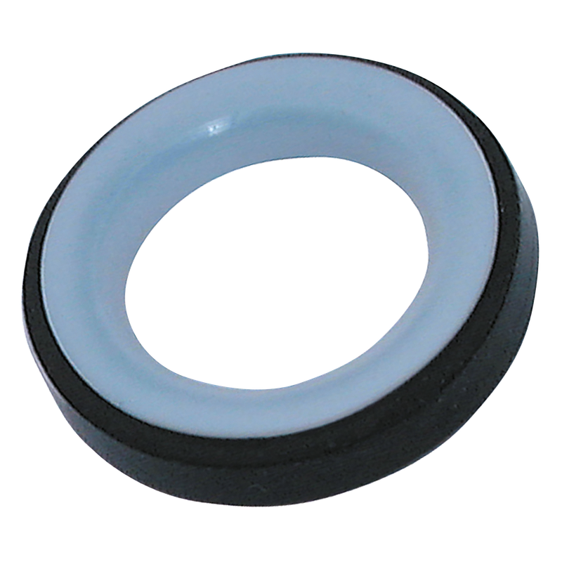 PTFE  GASKET FOR CAM