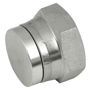 BSP SWIVEL STEEL BLANKING CAP